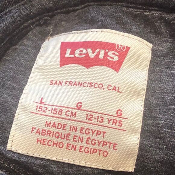 Kids Levi's Hoodie  - Picture 4 of 4